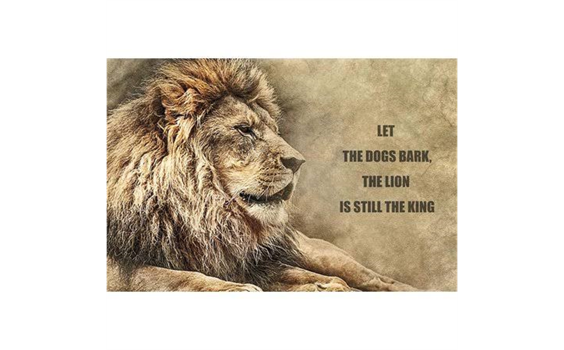 The Lion Is King